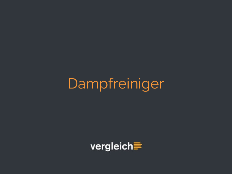 Dampfreiniger