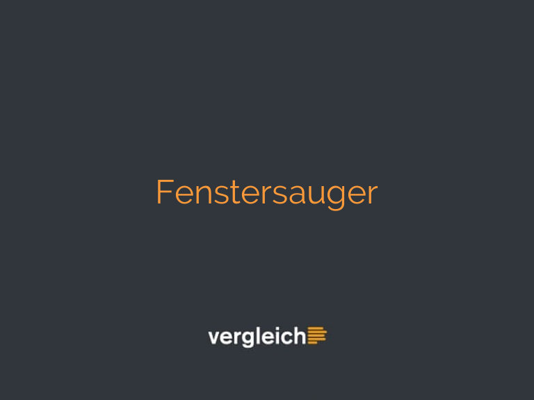 Fenstersauger